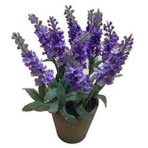 Planta artificial de lavanda - Galerías el Triunfo - 261171736191