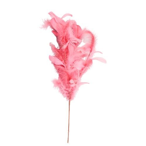 Vara de plumas rosa - Galerías el Triunfo - 044071816171
