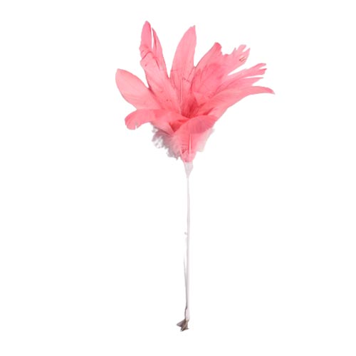 Pick de plumas rosa - Galerías el Triunfo - 044071816175