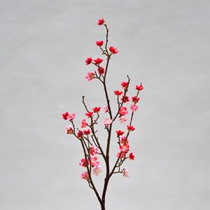 Flor de ciruelo color - Galerías el Triunfo - 025072097054