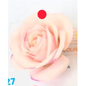 Vara con rosa color - Galerías el Triunfo - 028071005181